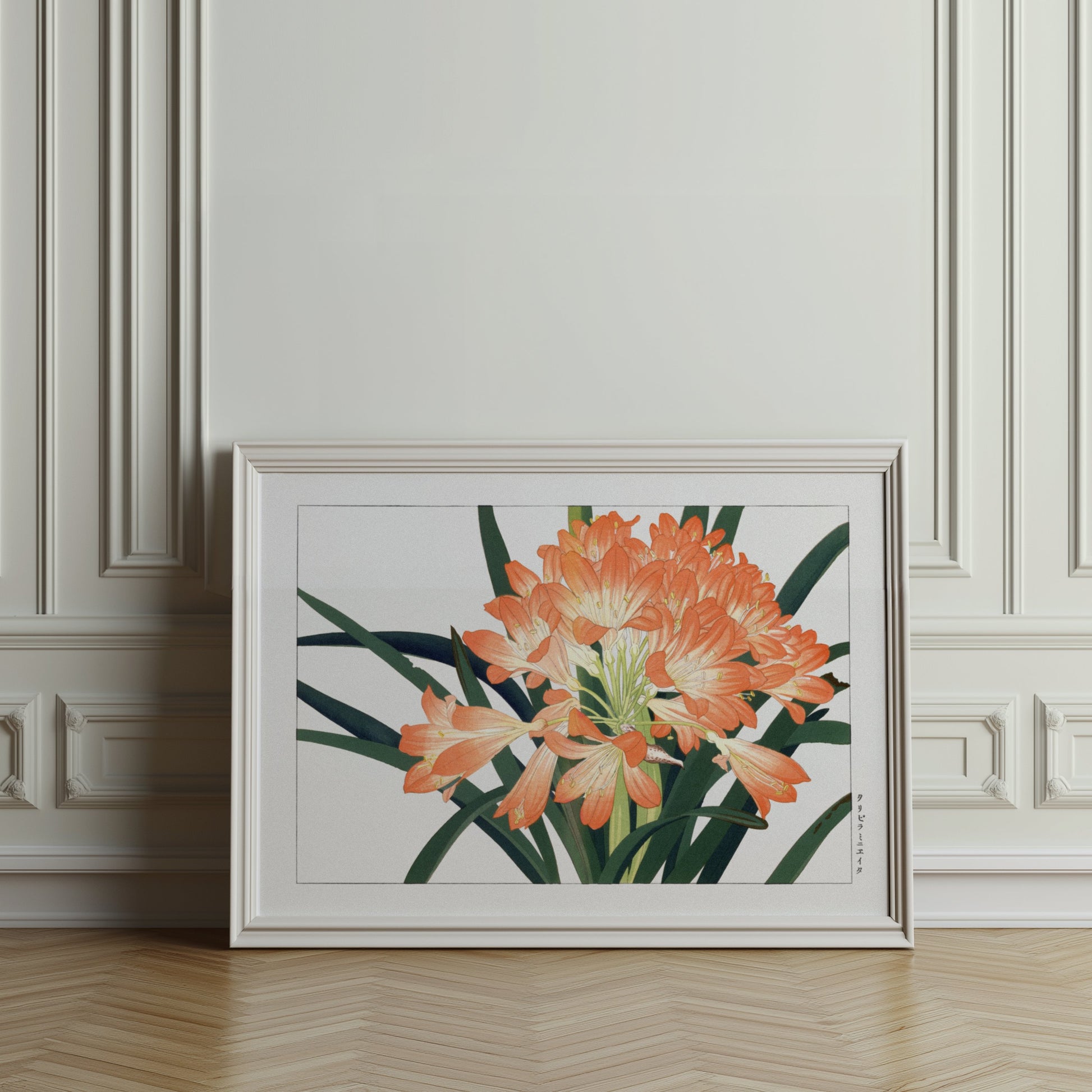 Premium Poster of Elegant Clivia Miniata Botanical Art Print Posters