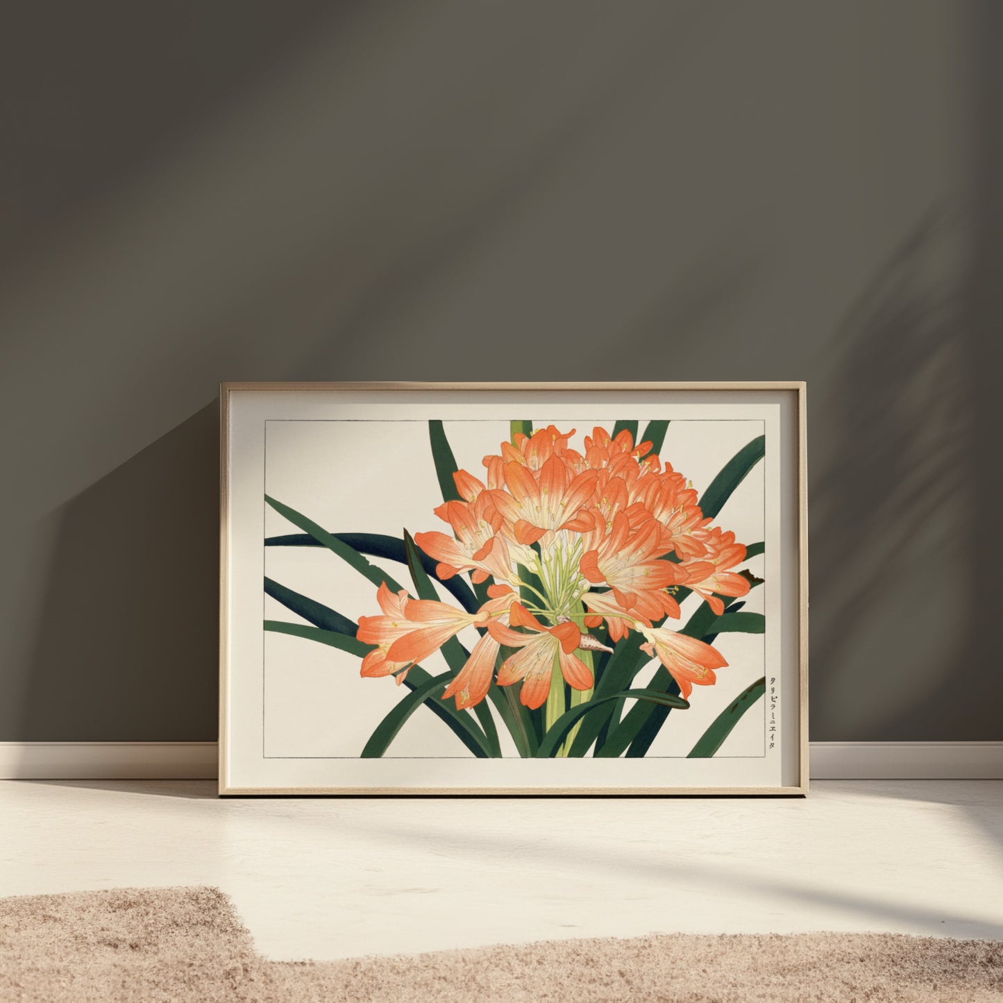 Premium Poster of Elegant Clivia Miniata Botanical Art Print Posters