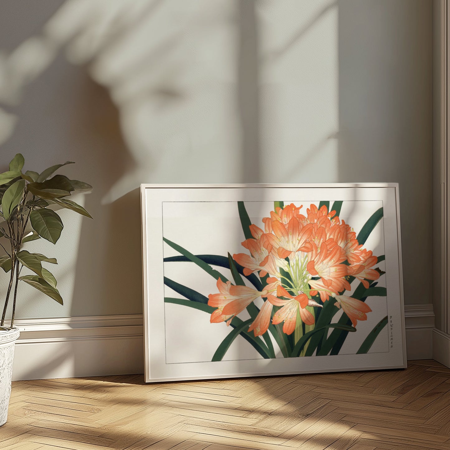 Premium Poster of Elegant Clivia Miniata Botanical Art Print Posters