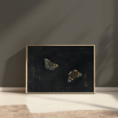 Premium Poster of Elegant Dark-theme Butterfly Art Posters