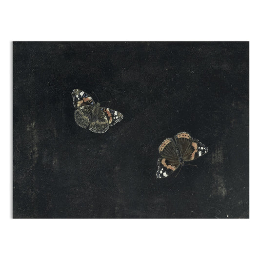 Premium Poster of Elegant Dark-theme Butterfly Art Posters