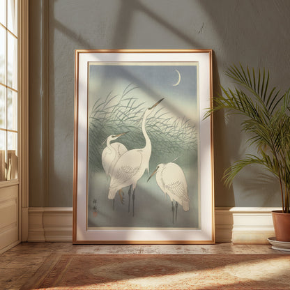 Premium Poster of Elegant Egrets under the Moonlit Sky Art Print Posters