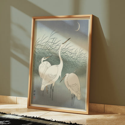 Premium Poster of Elegant Egrets under the Moonlit Sky Art Print Posters