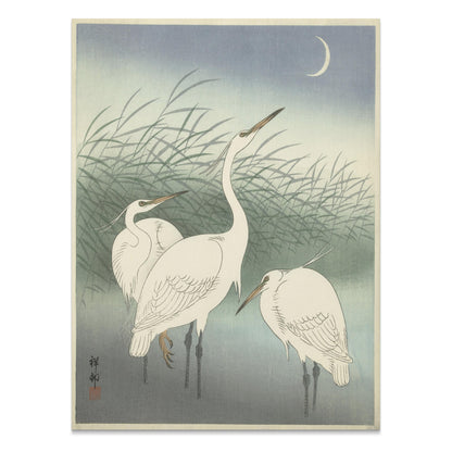 Premium Poster of Elegant Egrets under the Moonlit Sky Art Print Posters