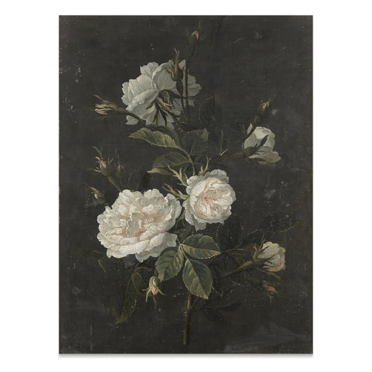 Premium Poster of Elegant Floral Botanical Art Print for Home Wall Posters