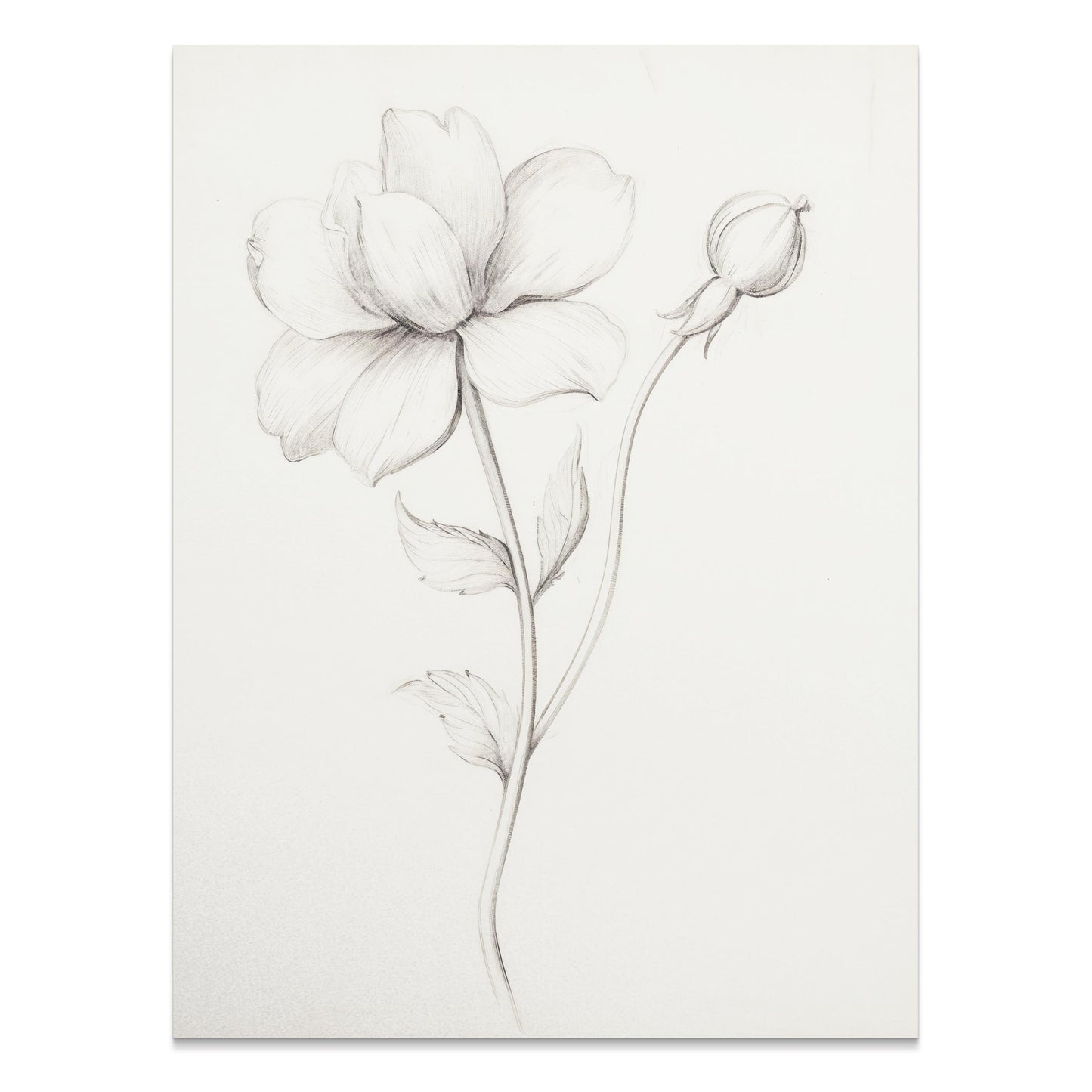 Premium Poster of Elegant Floral Sketch Art for Modern Decor Posters
