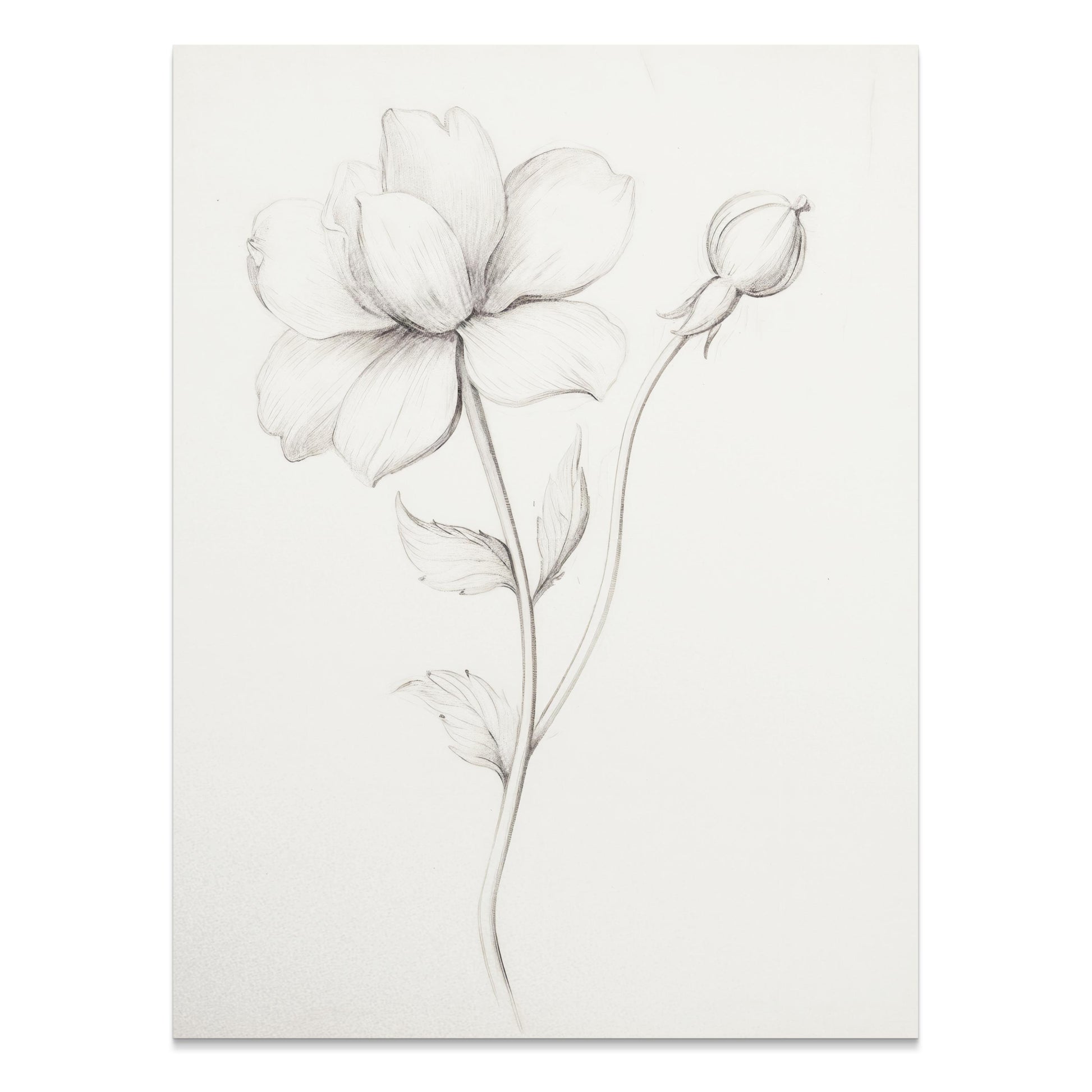 Premium Poster of Elegant Floral Sketch Art for Modern Decor Posters