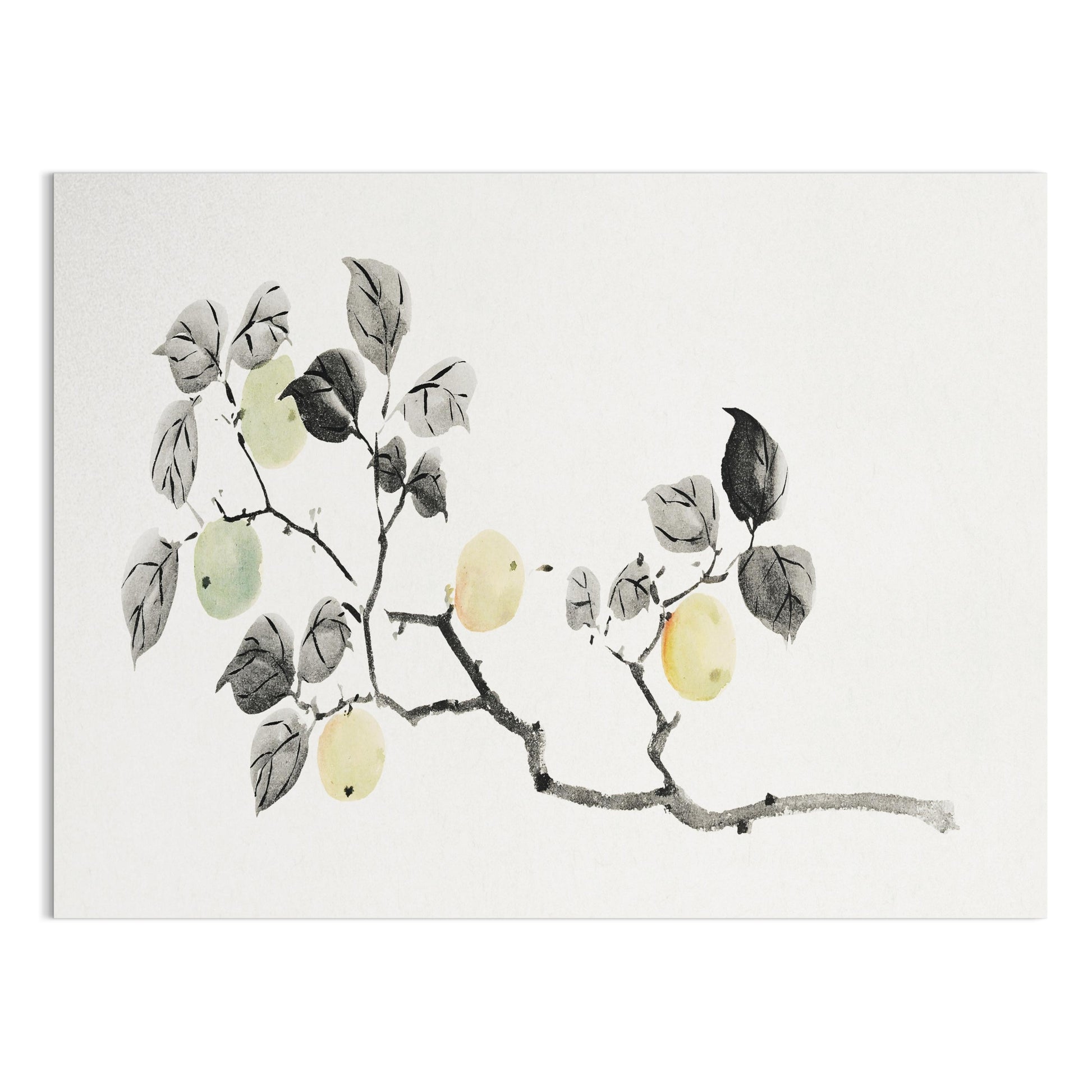 Premium Poster of Elegant Japanese Botanical Art Print Posters