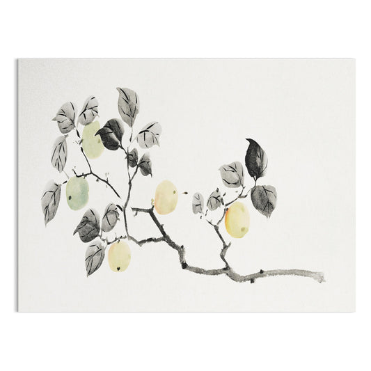 Premium Poster of Elegant Japanese Botanical Art Print Posters