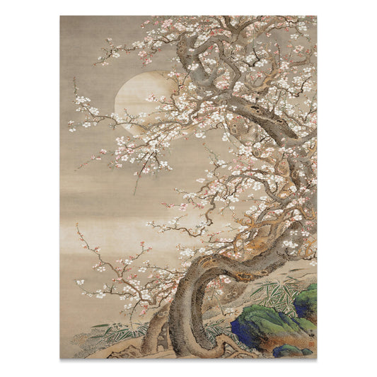 Premium Poster of Elegant Japanese Cherry Blossom Tree Art Posters