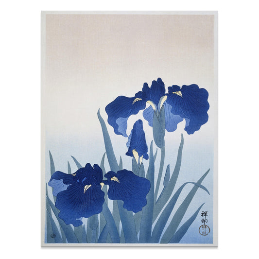 Premium Poster of Elegant Japanese Floral Blue Iris Art Posters