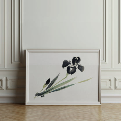 Premium Poster of Elegant Japanese Ink Painting of Iris Floral Art Posters
