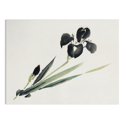 Premium Poster of Elegant Japanese Ink Painting of Iris Floral Art Posters