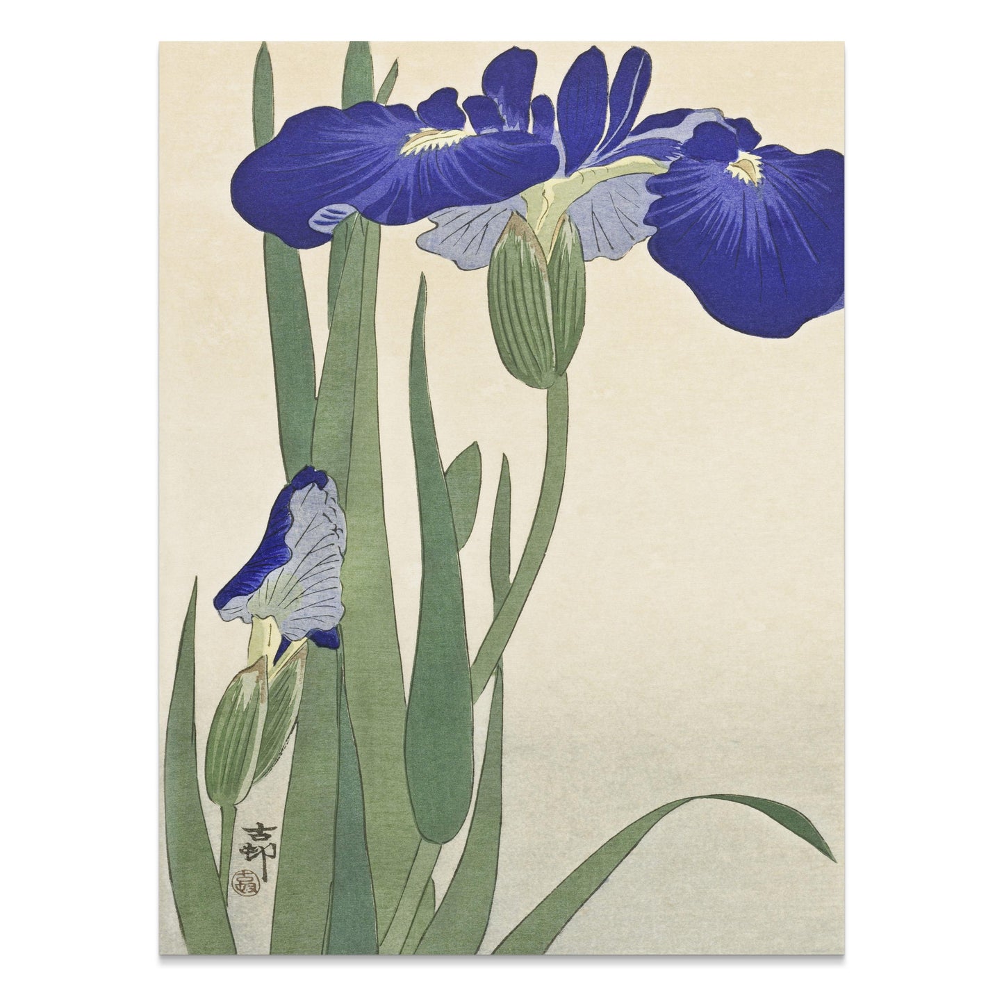 Premium Poster of Elegant Japanese Iris Floral Art Japanese Posters