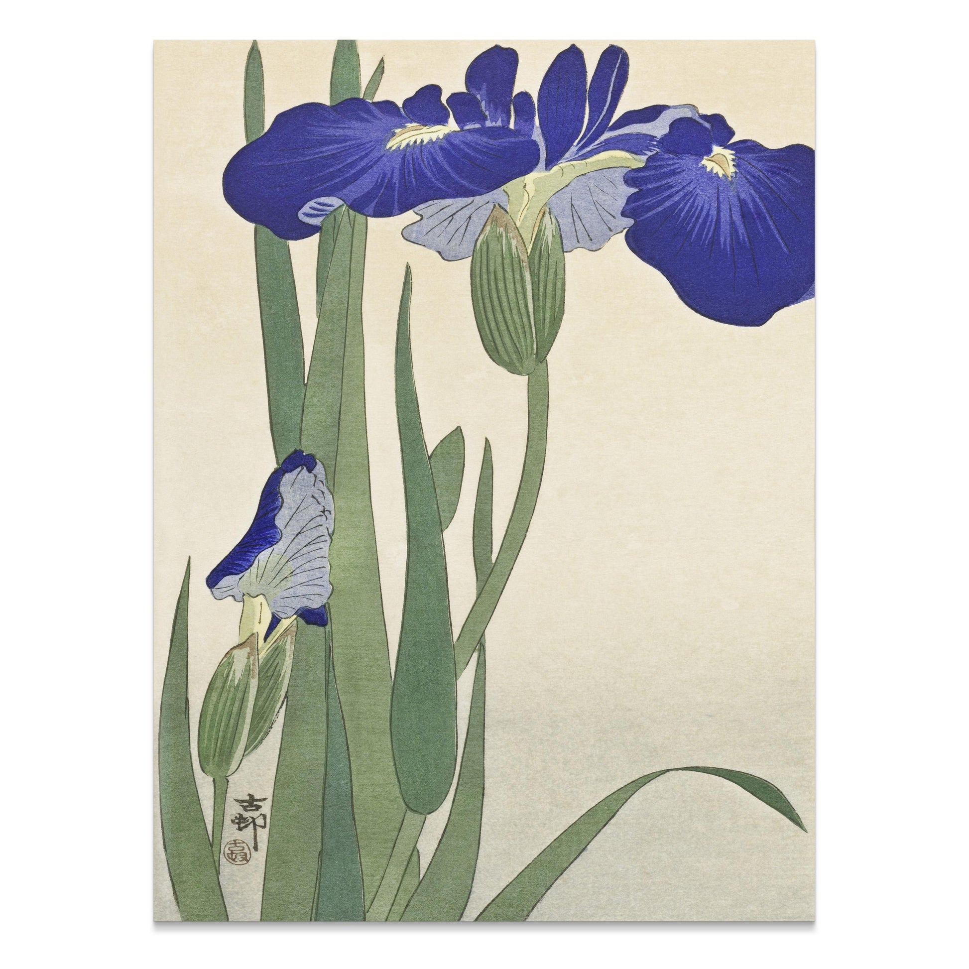 Premium Poster of Elegant Japanese Iris Floral Art Japanese Posters