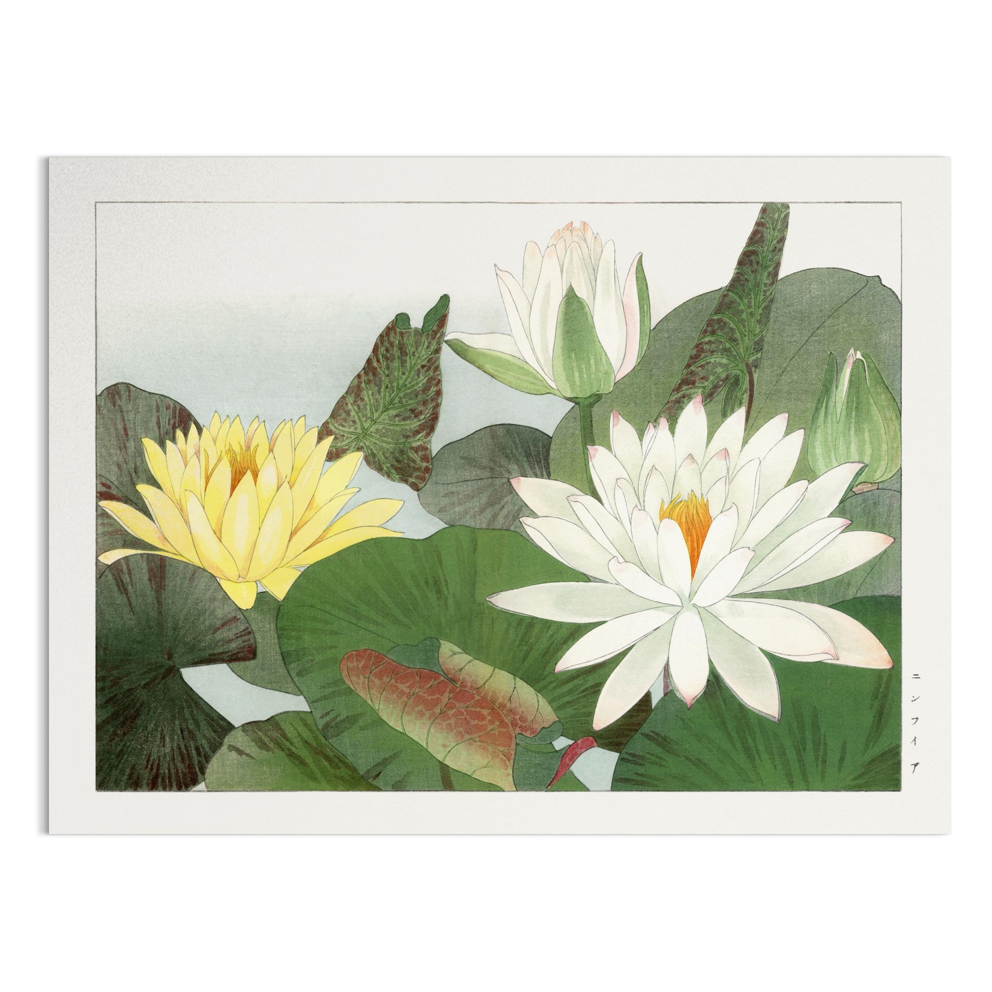 Premium Poster of Elegant Japanese Lily Pad Art Posters