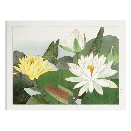 Premium Poster of Elegant Japanese Lily Pad Art Posters