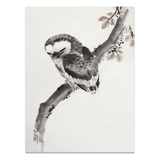 Premium Poster of Elegant Japanese Owl Sitting on a Branch Art Posters