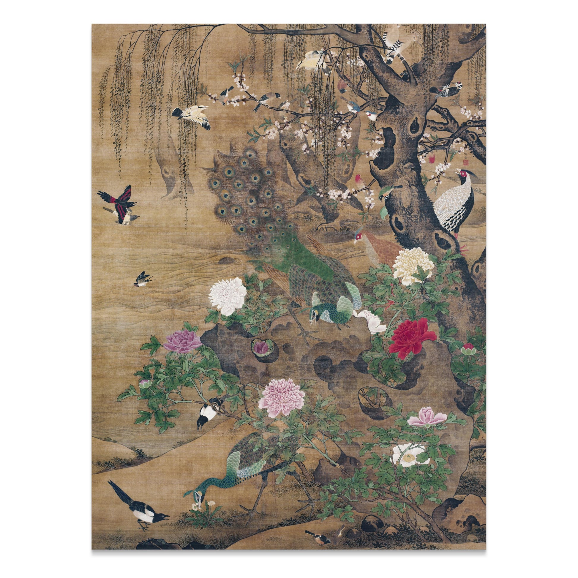Premium Poster of Elegant Japanese Peacocks Blossoms and Birds Art Posters