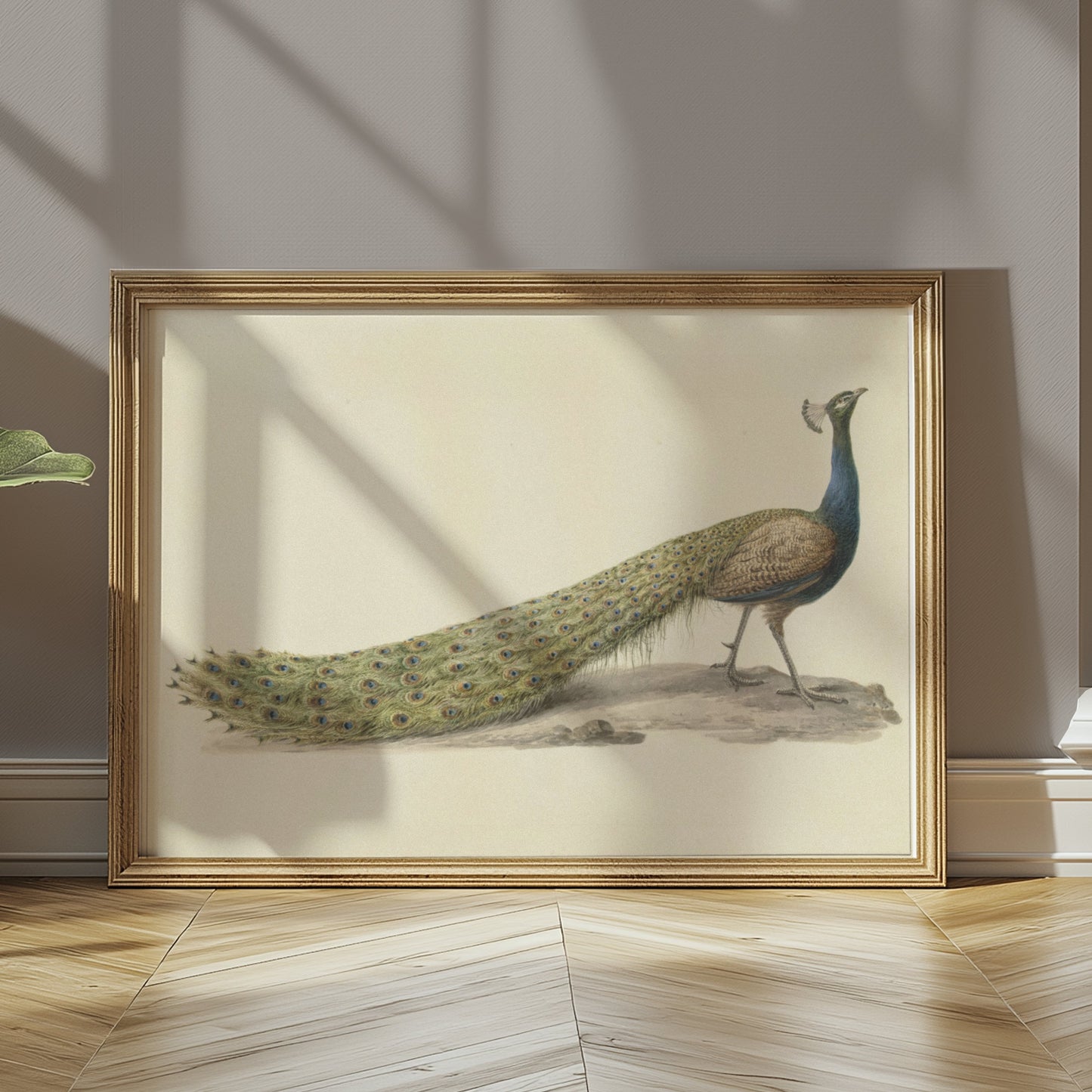Premium Poster of Elegant Peacock Illustration Japanese Art Posters