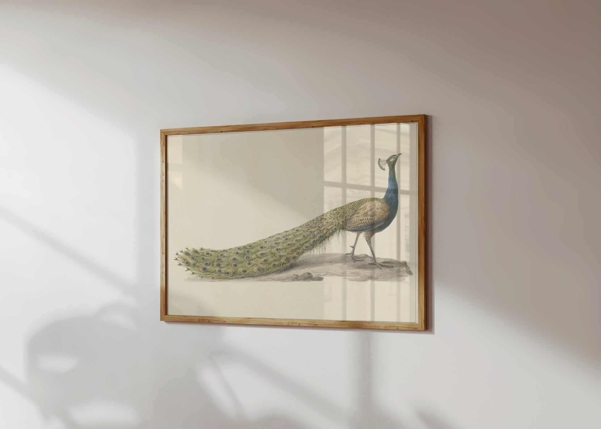 Premium Poster of Elegant Peacock Illustration Japanese Art Posters