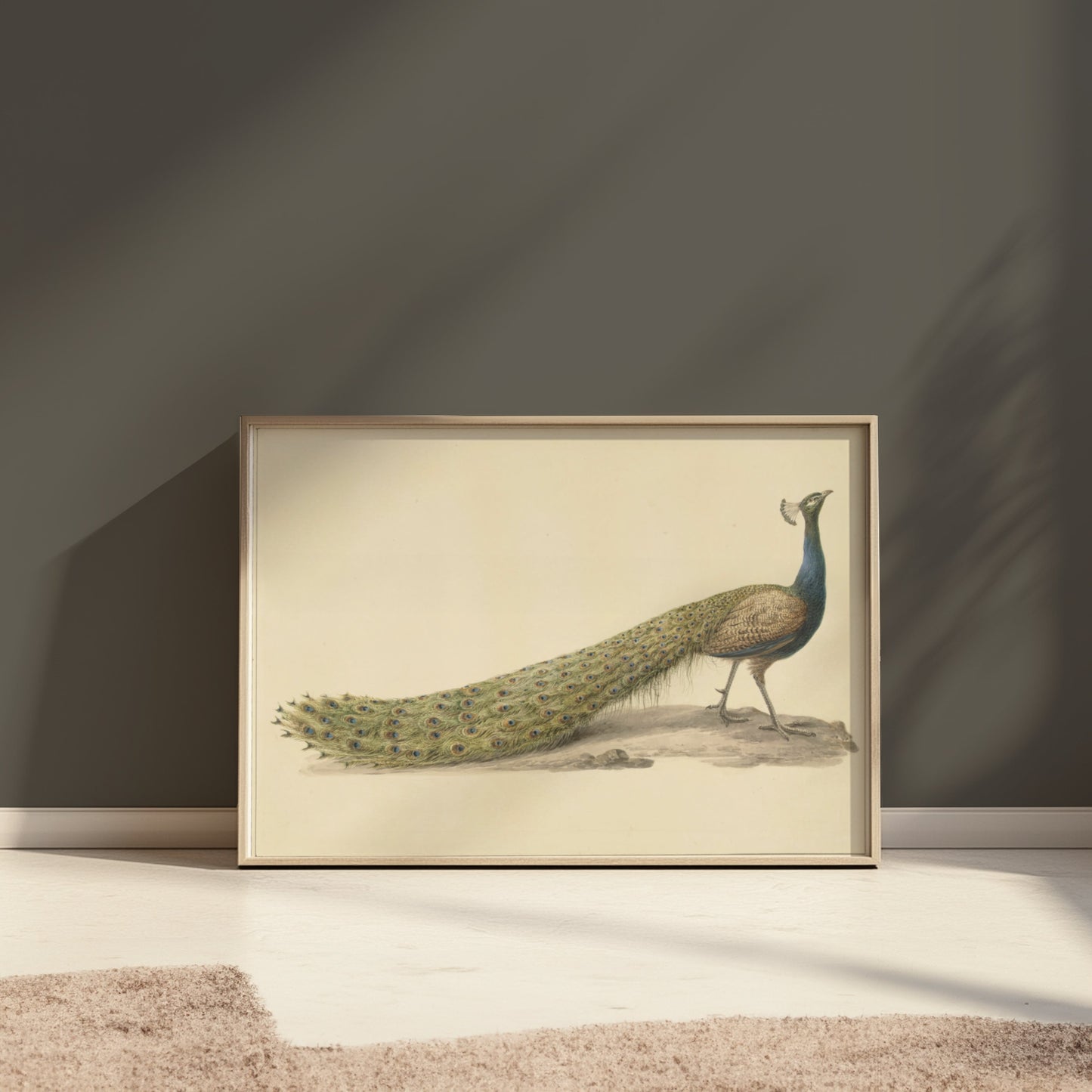 Premium Poster of Elegant Peacock Illustration Japanese Art Posters
