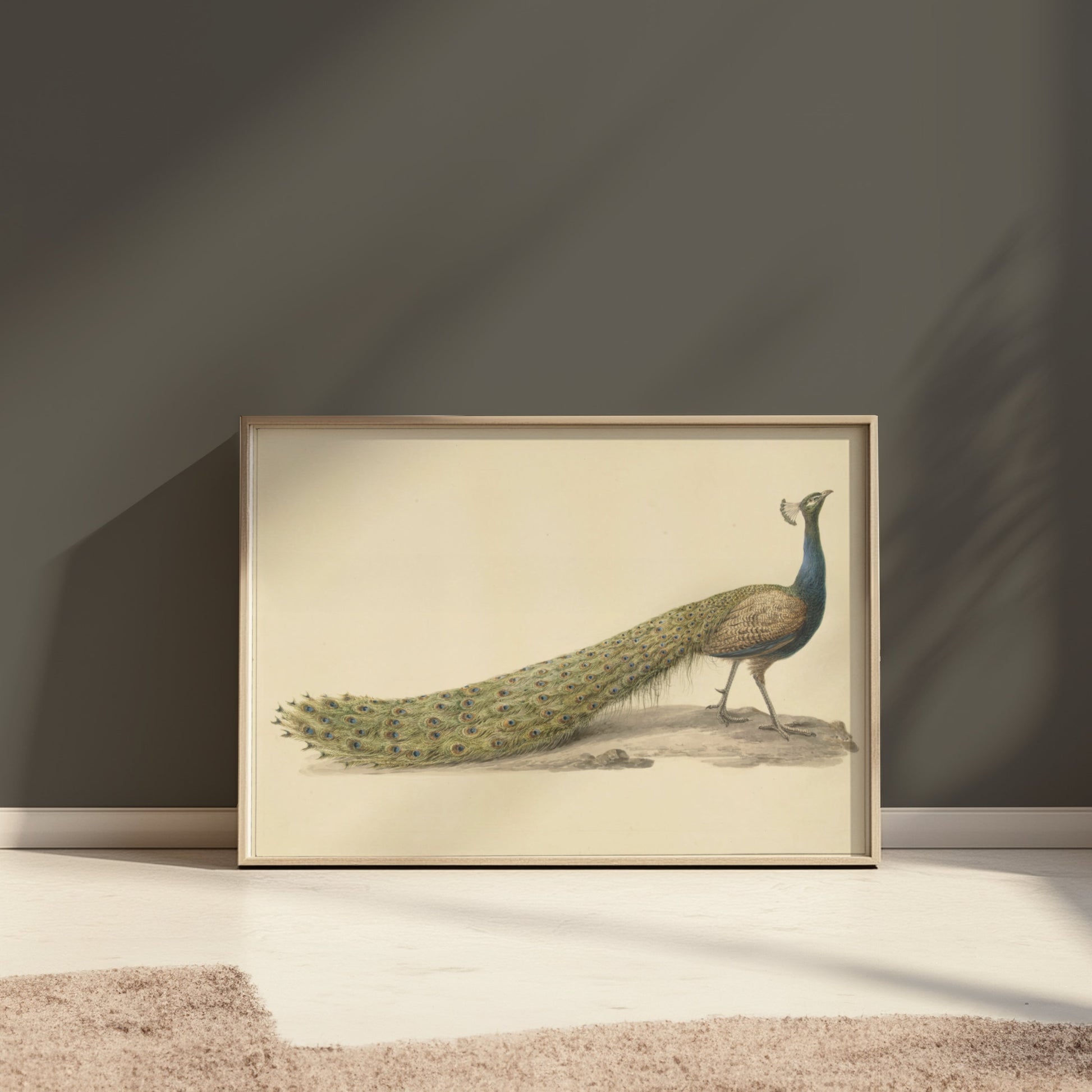Premium Poster of Elegant Peacock Illustration Japanese Art Posters