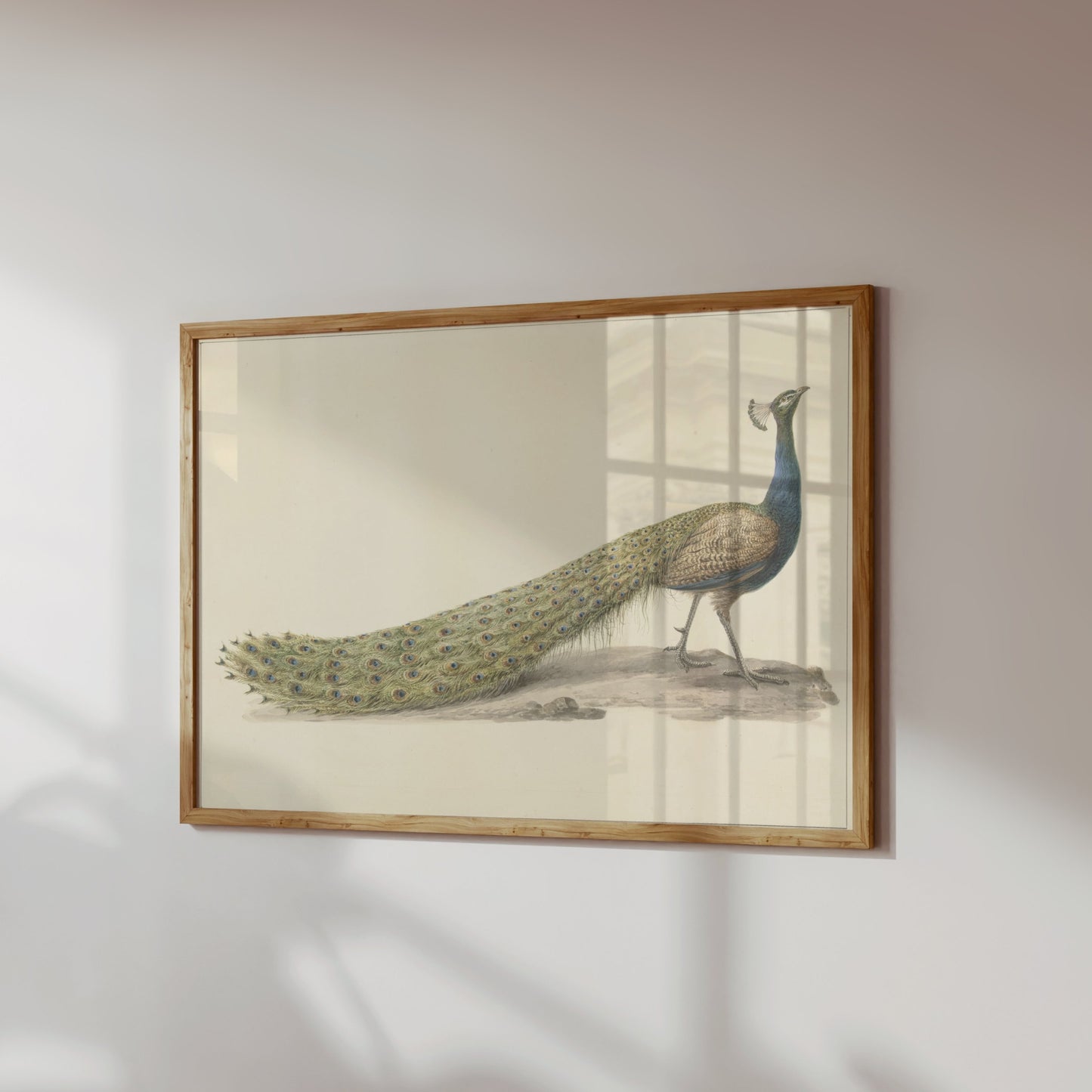 Premium Poster of Elegant Peacock Illustration Japanese Art Posters
