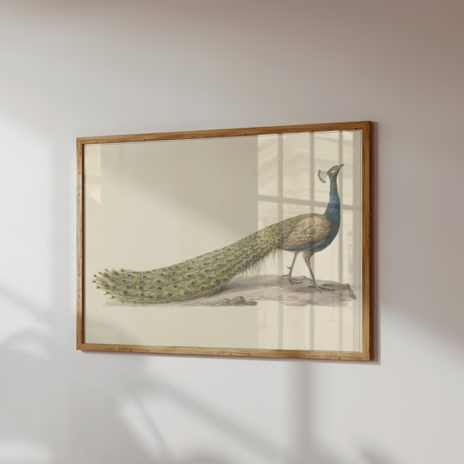 Premium Poster of Elegant Peacock Illustration Japanese Art Posters