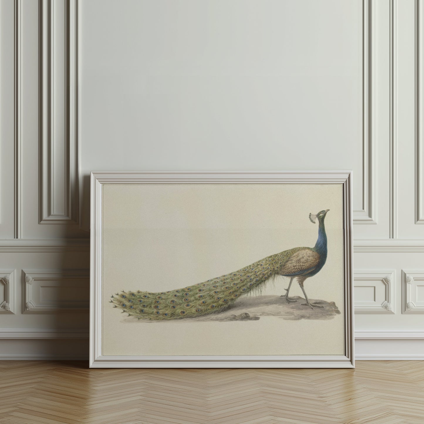 Premium Poster of Elegant Peacock Illustration Japanese Art Posters