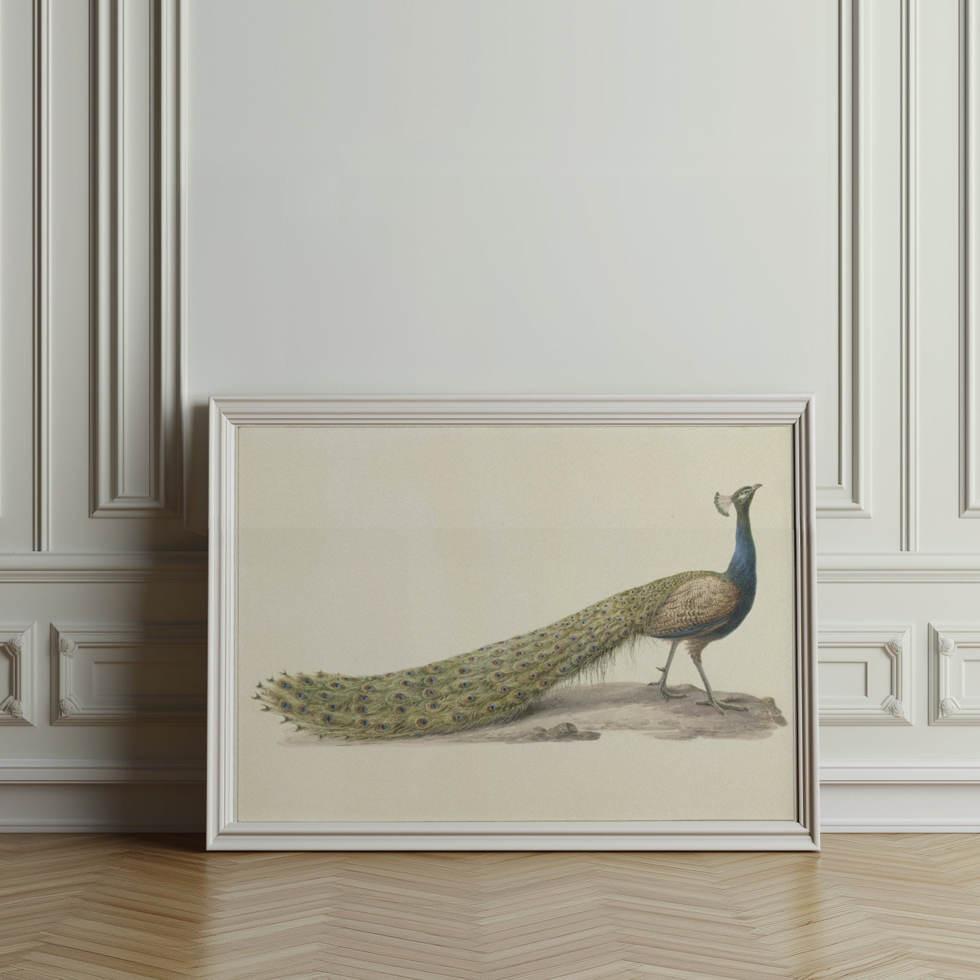 Premium Poster of Elegant Peacock Illustration Japanese Art Posters