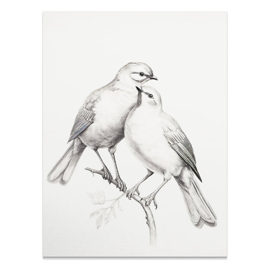 Premium Poster of Elegant Sketch Bird Couple on Branch Art Print Posters