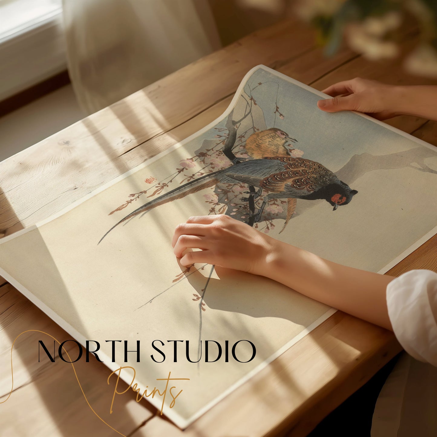 Premium Poster of Elegant Two Birds on Cherry Blossom Branch Posters