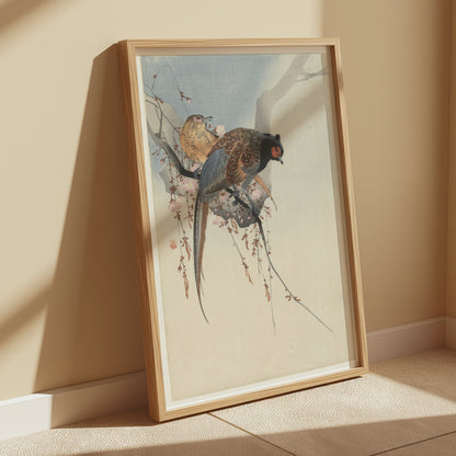 Premium Poster of Elegant Two Birds on Cherry Blossom Branch Posters