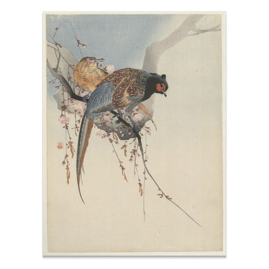 Premium Poster of Elegant Two Birds on Cherry Blossom Branch Posters