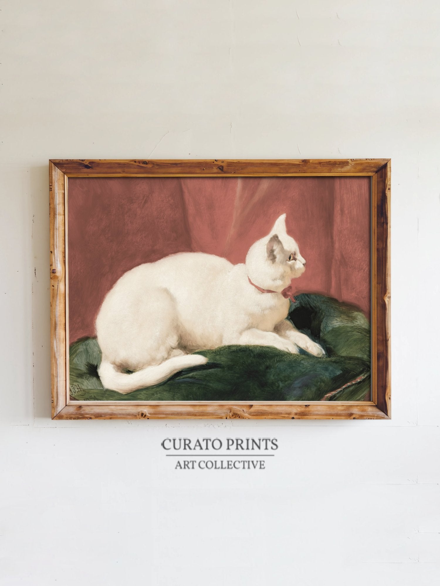 Premium Poster of Elegant White Cat Lying on Cushion Artwork Posters