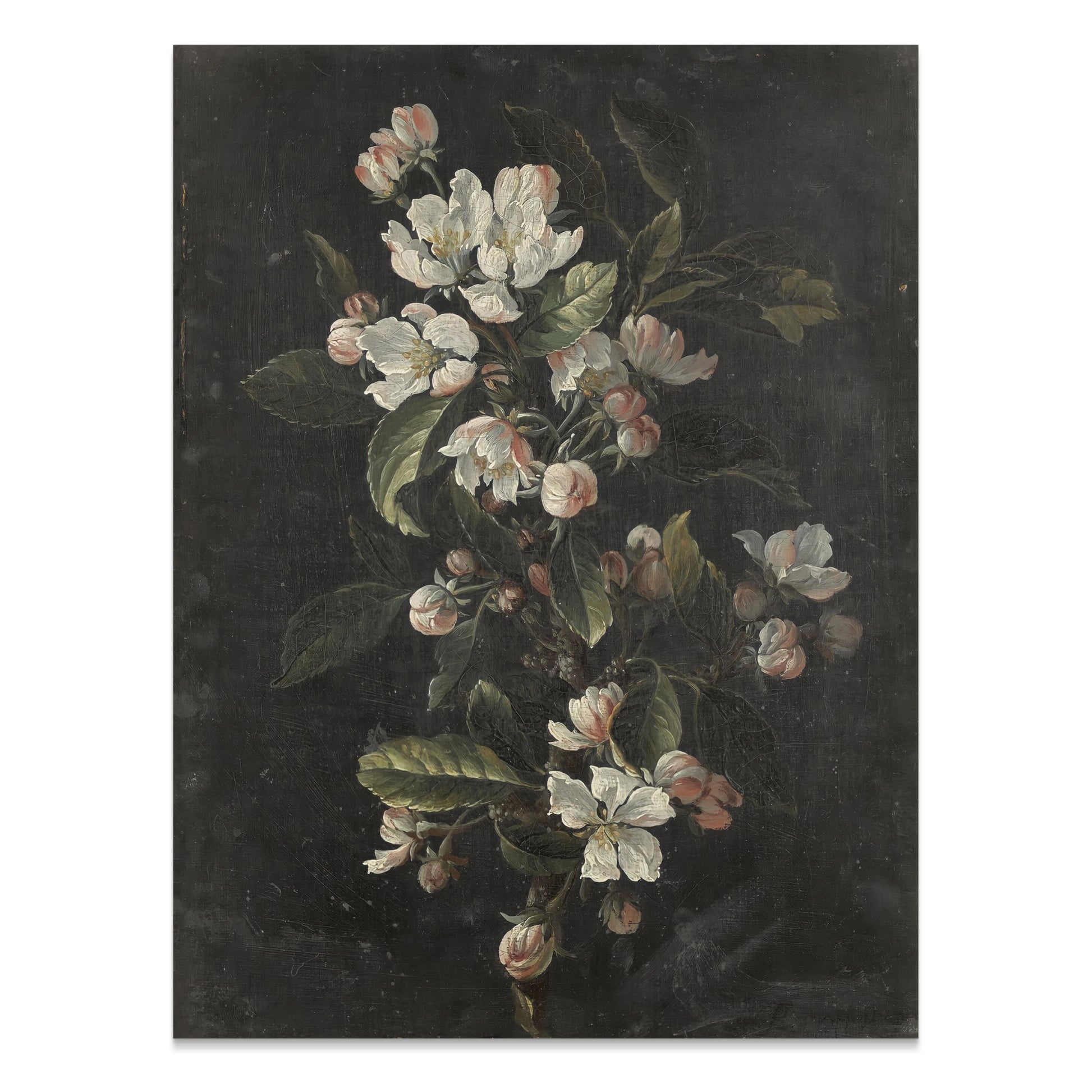 Premium Poster of Elegant and Dark Floral Painting Wall Art Print Posters