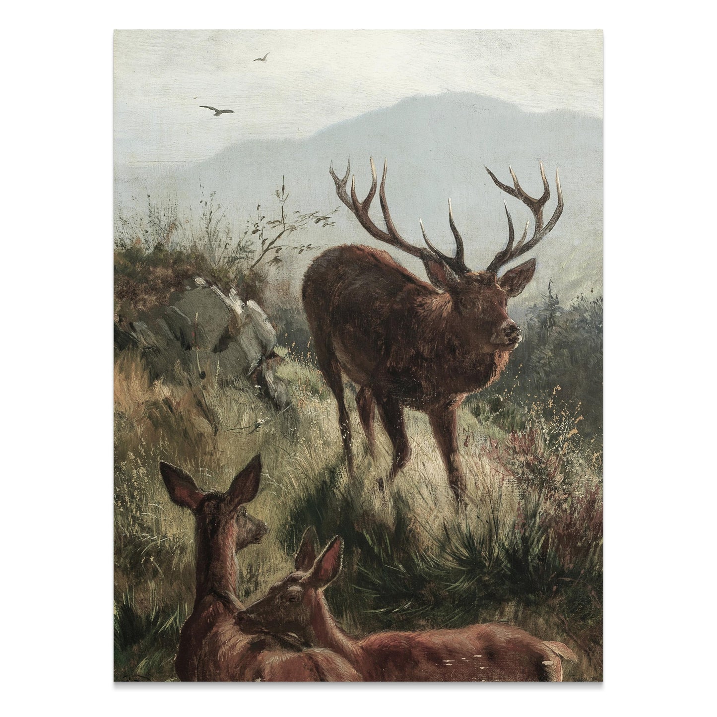 Premium Poster of Elk Herd in Misty Mountain Landscape Wildlife Posters