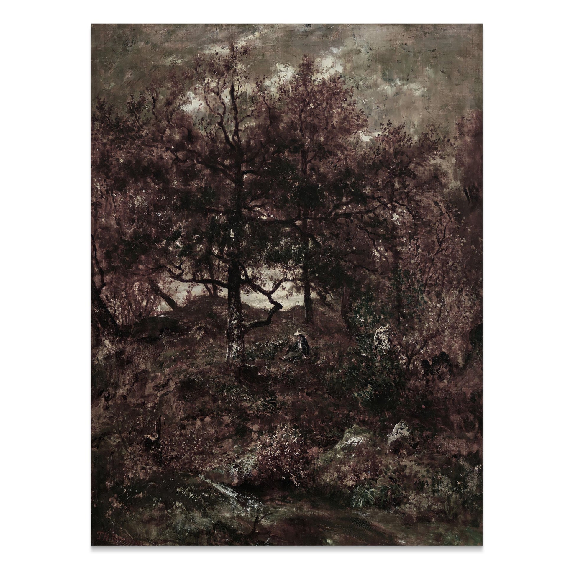 Premium Poster of Enchanting Dark Forest Landscape Art Print Posters