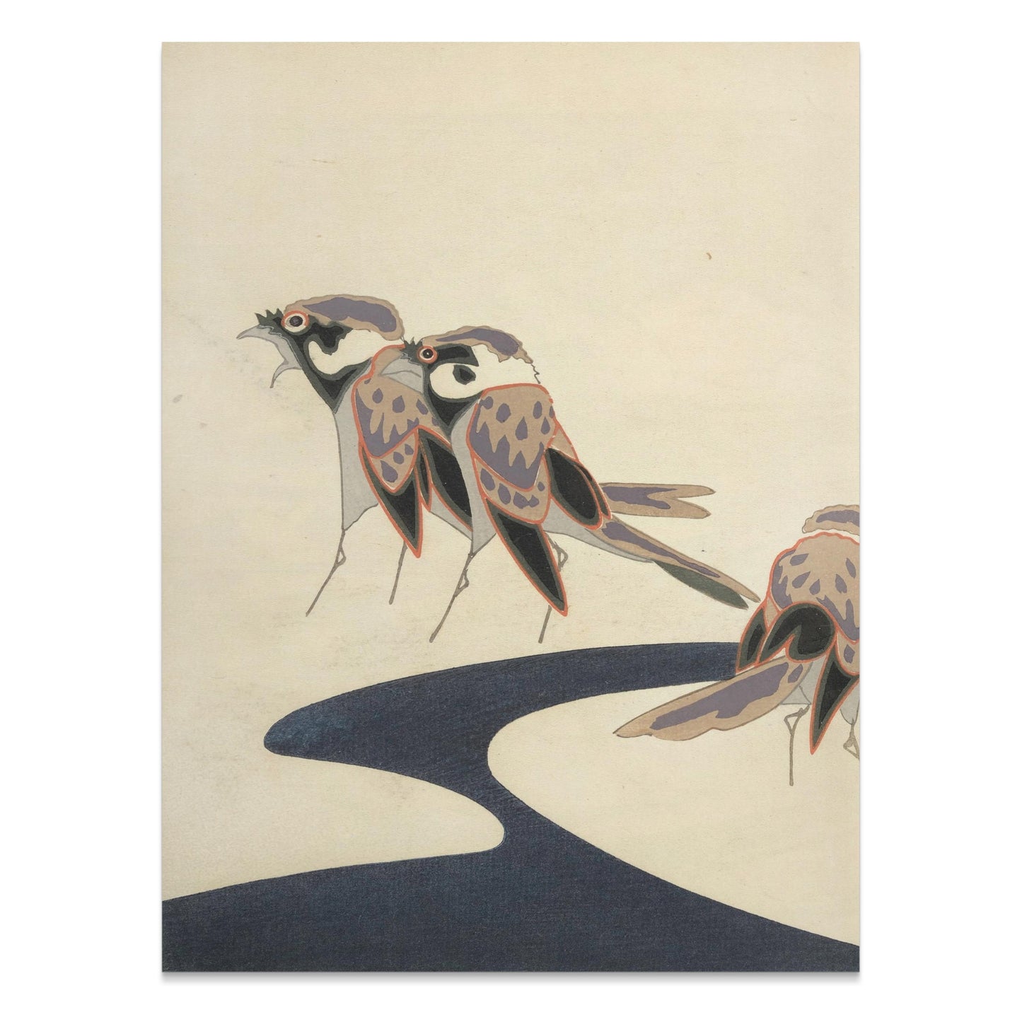 Premium Poster of Exotic Bird Illustration Inspired Posters