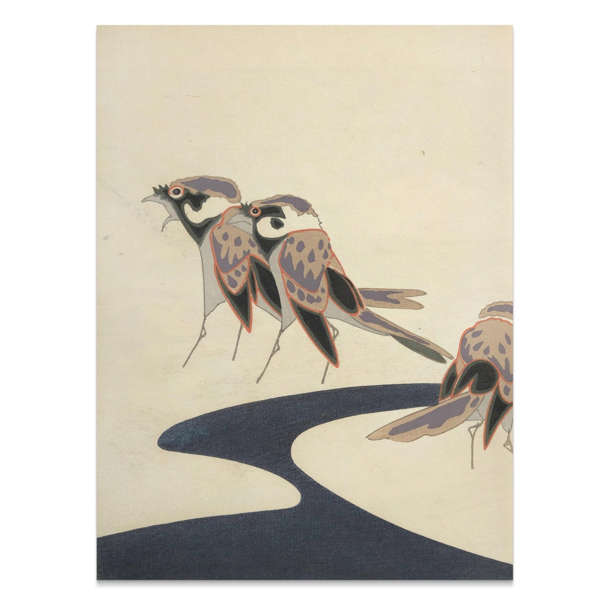 Premium Poster of Exotic Bird Illustration Inspired Posters