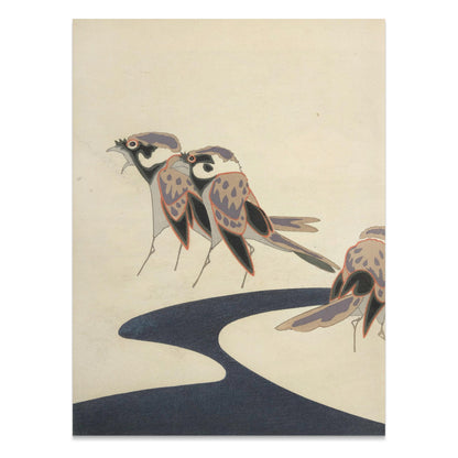 Premium Poster of Exotic Bird Illustration Inspired Posters