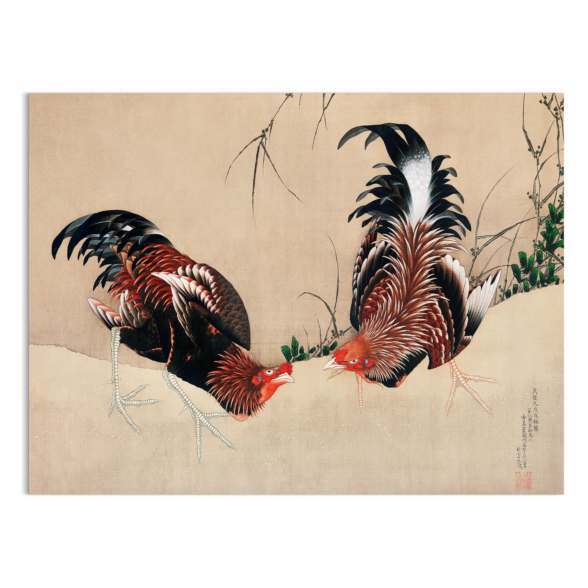 Premium Poster of Exquisite Japanese Roosters Artwork Print Vintage Posters