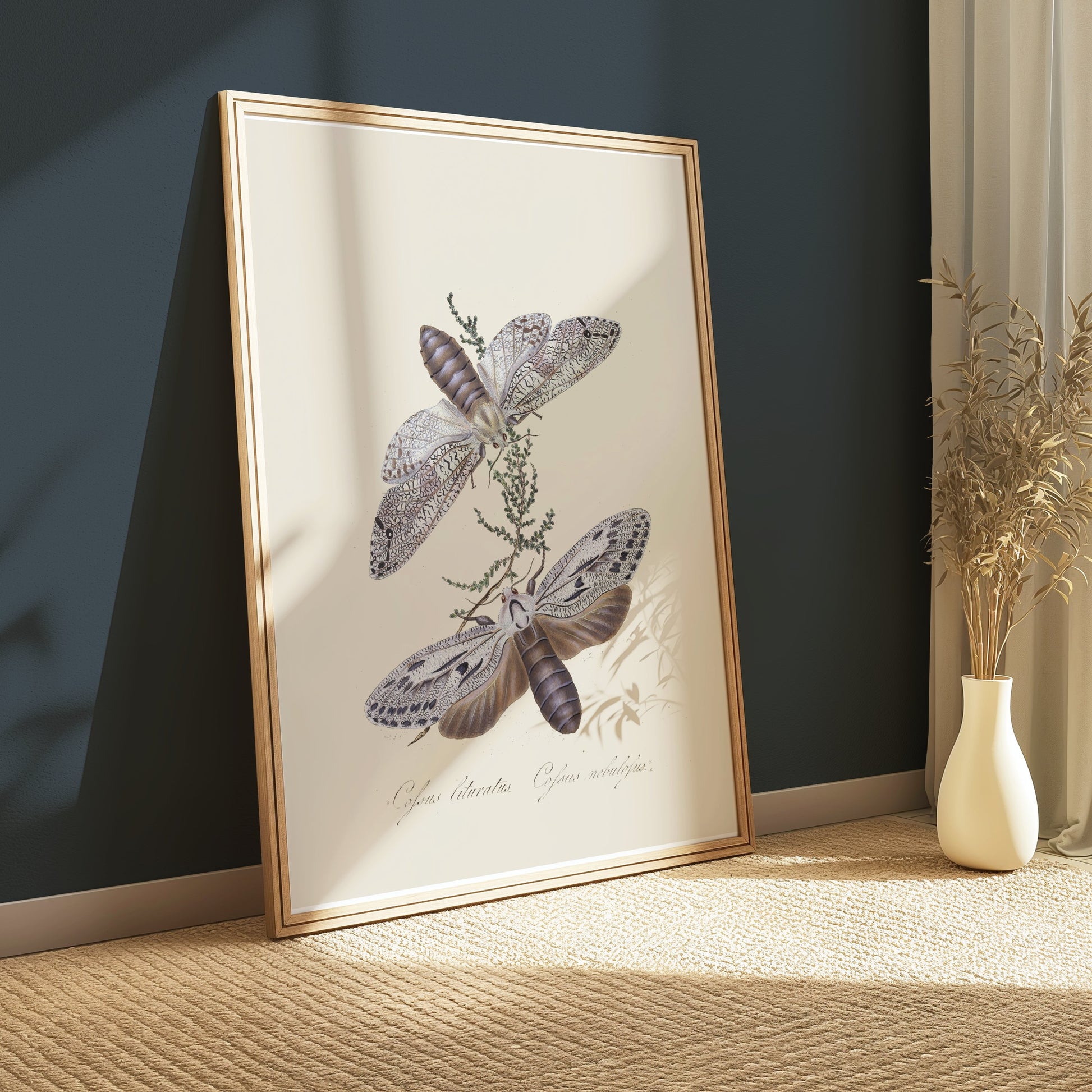 Premium Poster of Exquisite Vintage Style Moth Insect Wall Art Posters