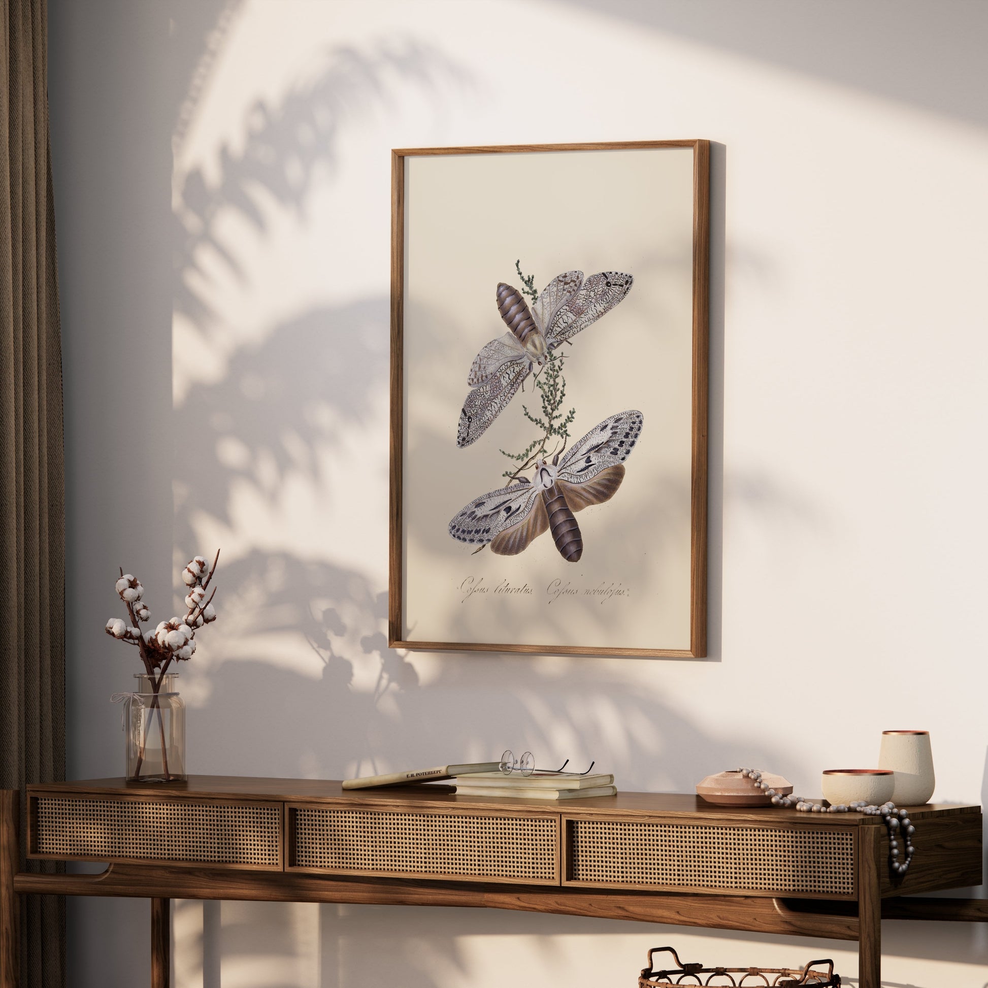 Premium Poster of Exquisite Vintage Style Moth Insect Wall Art Posters