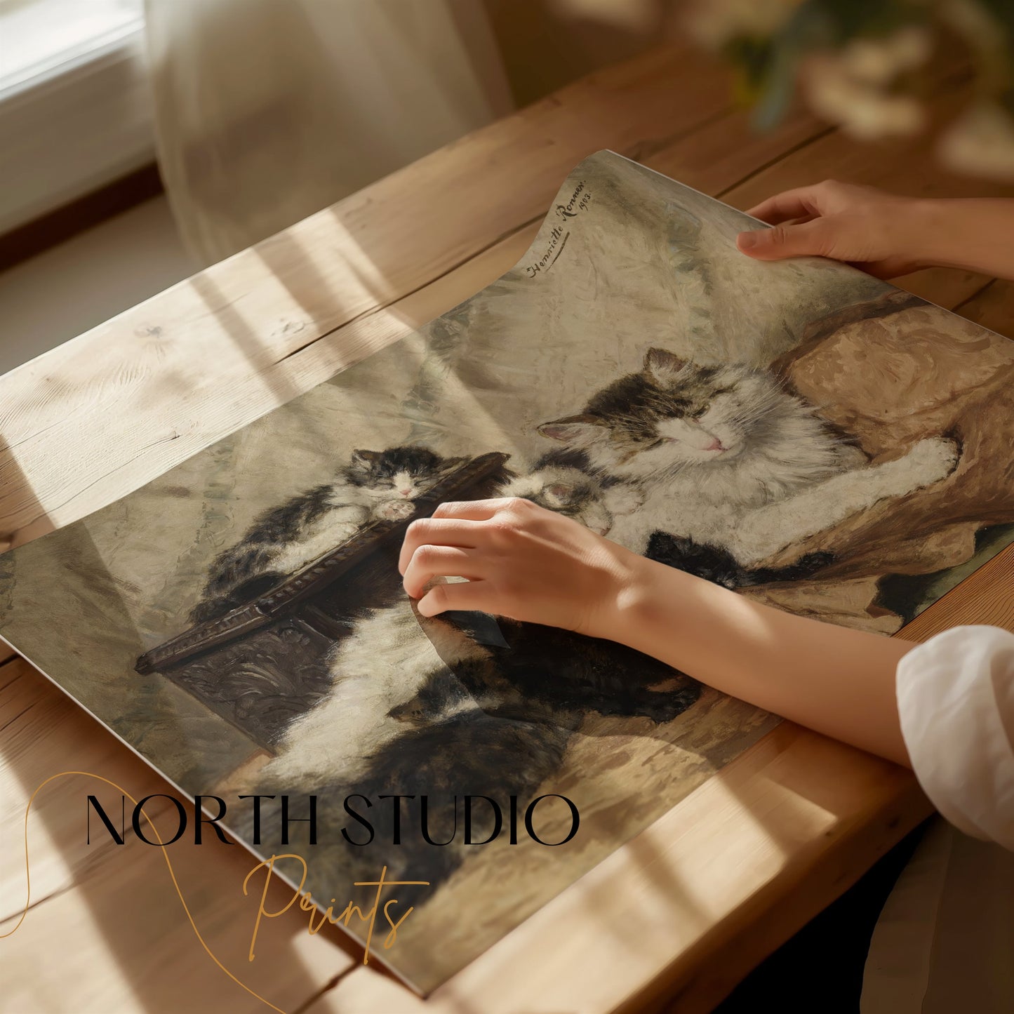 Premium Poster of Five Cats Sleeping in Cozy Setting Classic Art Posters
