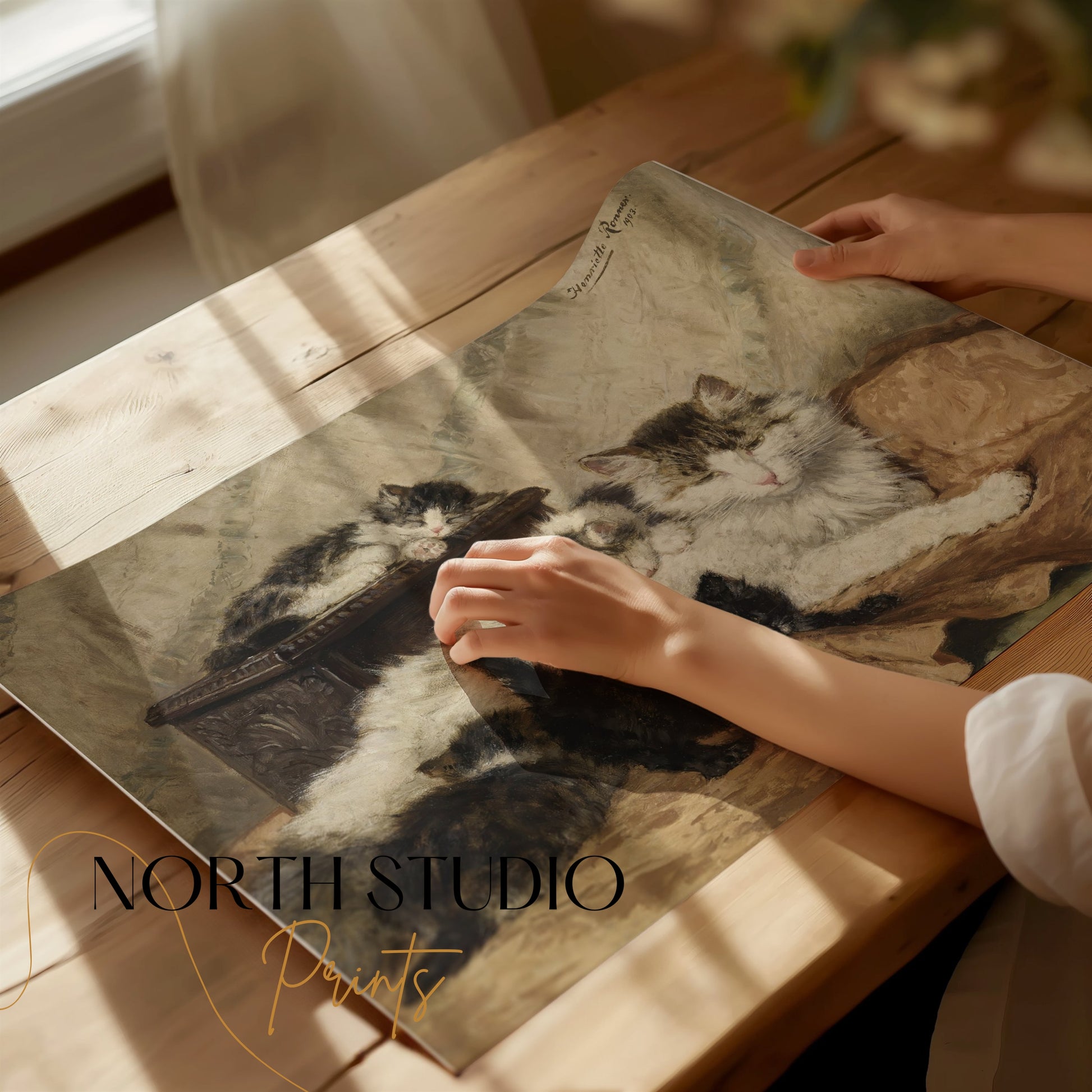 Premium Poster of Five Cats Sleeping in Cozy Setting Classic Art Posters