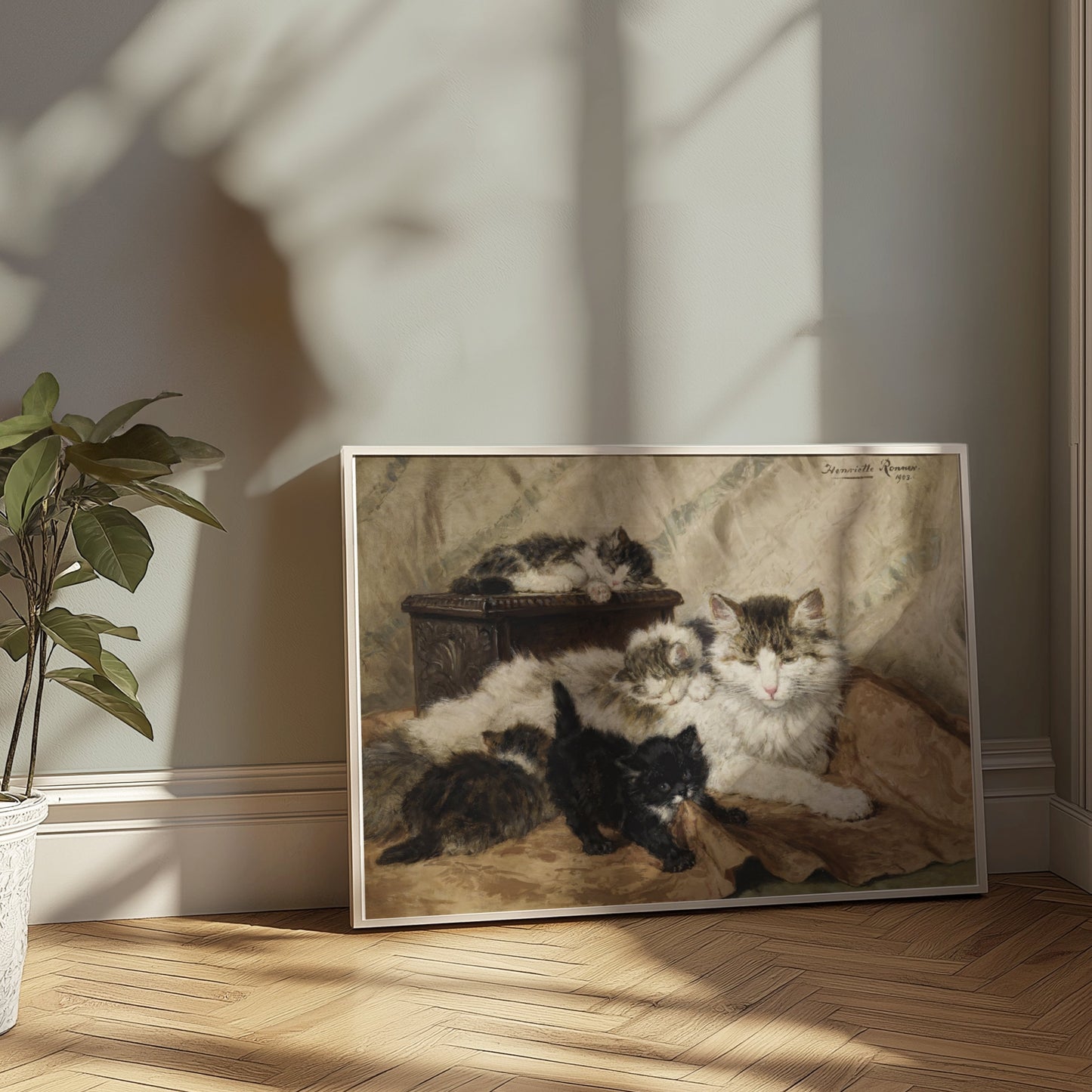 Premium Poster of Five Cats Sleeping in Cozy Setting Classic Art Posters