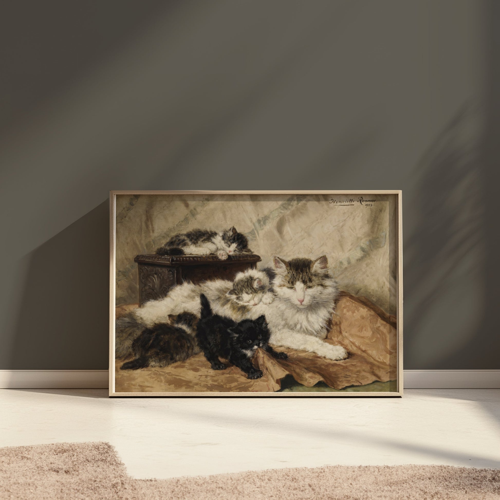 Premium Poster of Five Cats Sleeping in Cozy Setting Classic Art Posters