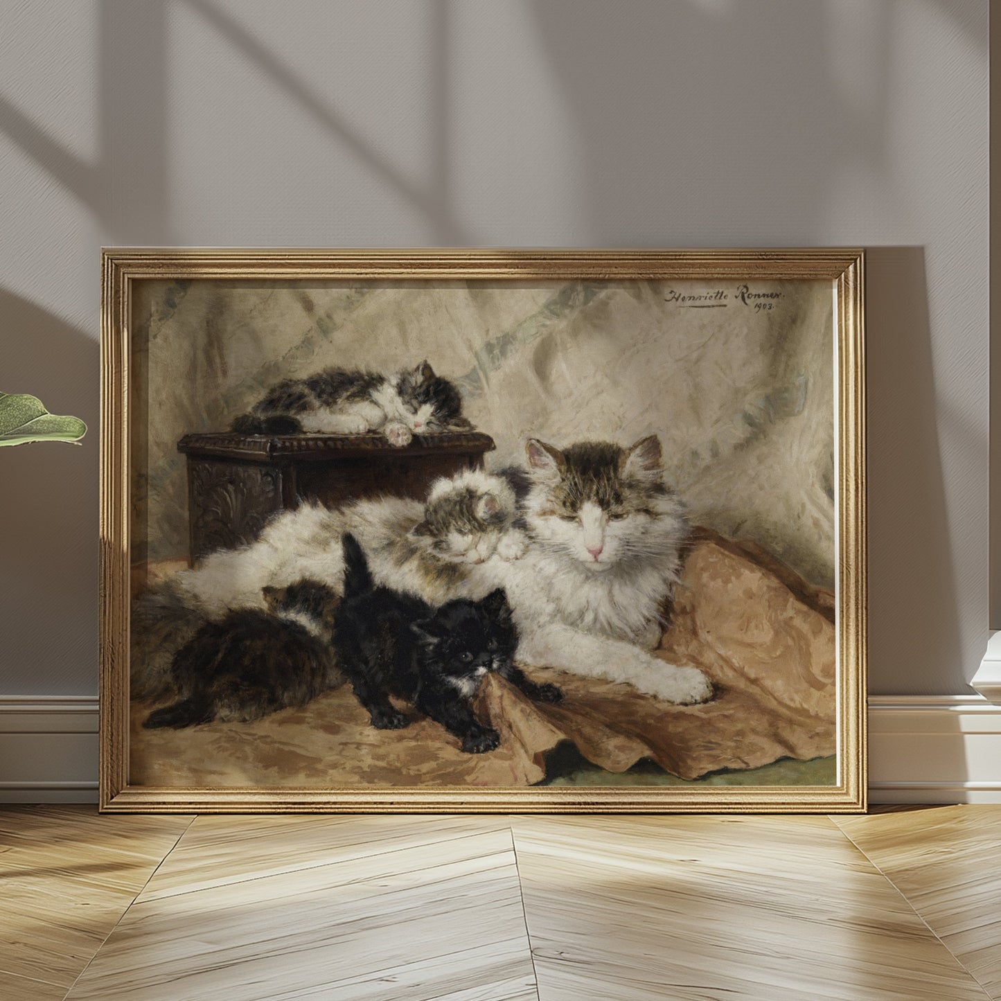 Premium Poster of Five Cats Sleeping in Cozy Setting Classic Art Posters